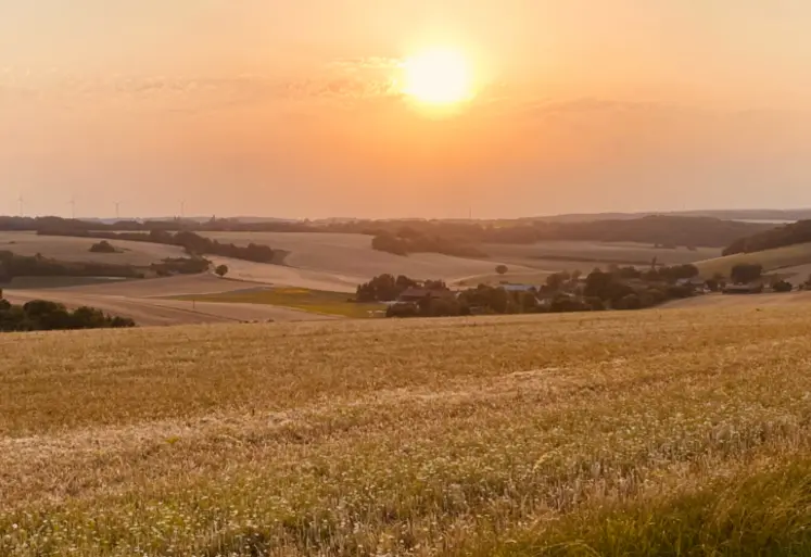 <em class="placeholder">Terres du nord de la Bourgogne où cultivent les producteurs de Terres du Pays d&#039;Othe.</em>