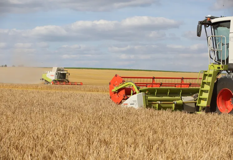 <em class="placeholder">Moisson des céréales. Moissonneuses-batteuses Claas dans une parcelle d&#039;orge dans la plaine céréalière de la Marne. chantier de récolte des orges avec des rendements ...</em>