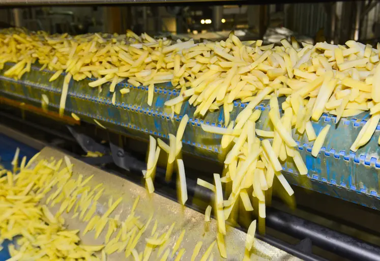 <em class="placeholder">Chaine de fabrication de frites industrielles surgelées</em>