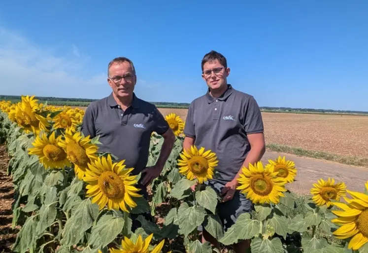 <em class="placeholder">Patrice Ayrault et son fils Antonin sur une parcelle de tournesol à Rives d&#039;Autise en Vendée</em>