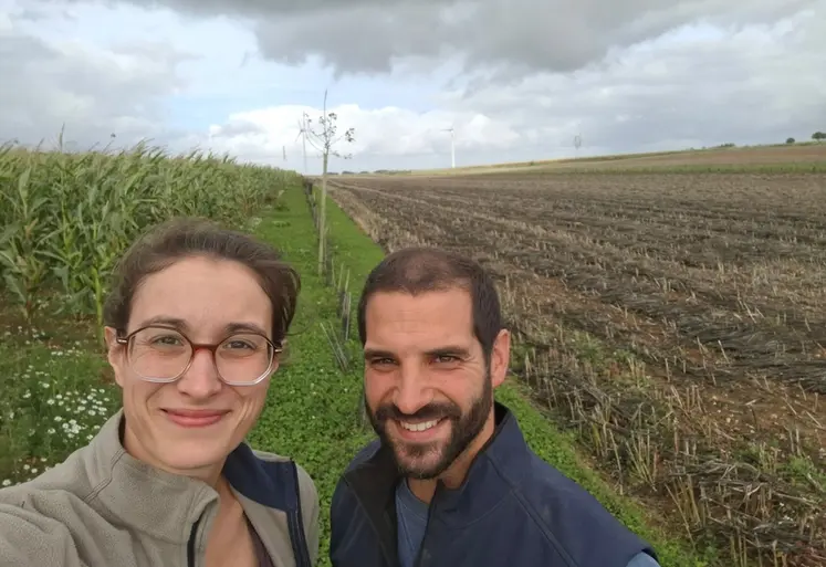 <em class="placeholder">Hélène et Martin Gosse de Gorre, agriculteurs à Ostreville (62),&quot;Deux ans après semis de trèfle blanc, nous constatons l’absence de développement d’adventices ...</em>