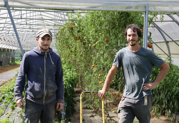 <em class="placeholder">Andoni Aguerre et Alexander Feldmann Renteria, maraîchers à Gamarthe (64) devant une serre de tomates</em>