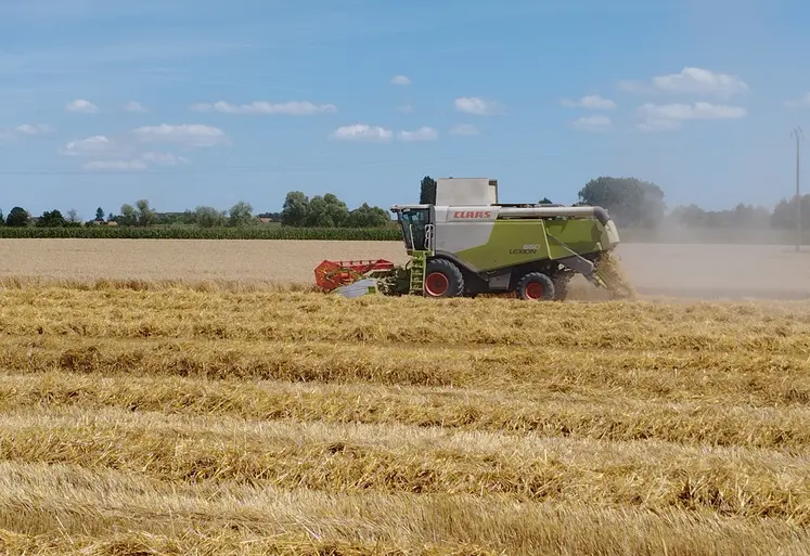 Moissonneuse batteuse en action dans une parcelle de blé tendre. Allier. 2024