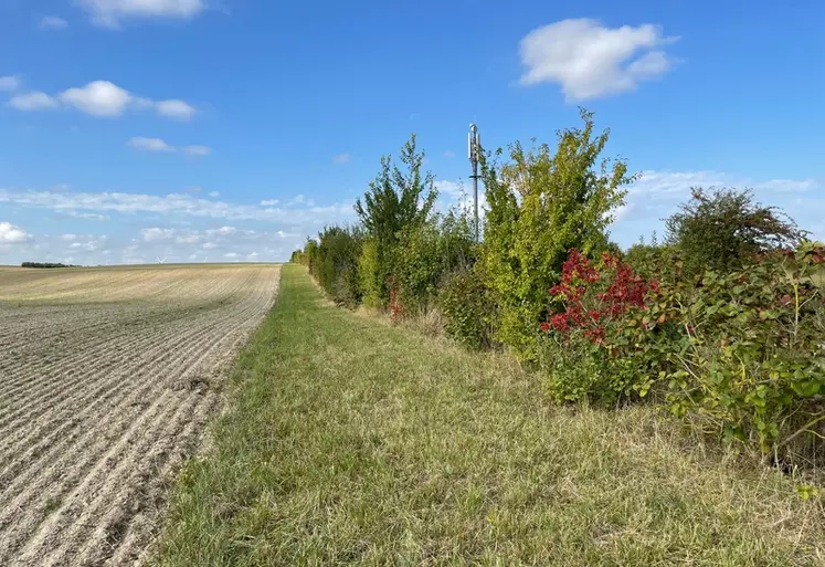 <em class="placeholder">Haie avec diversités d'essences ligneuses et bande enherbée large</em>