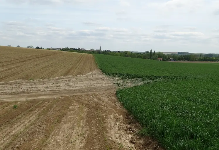 <em class="placeholder">Sans obstacle dans les pentes (fascines, haies...), des ravines se créent suite à des intempéries avec de la perte de terre.</em>