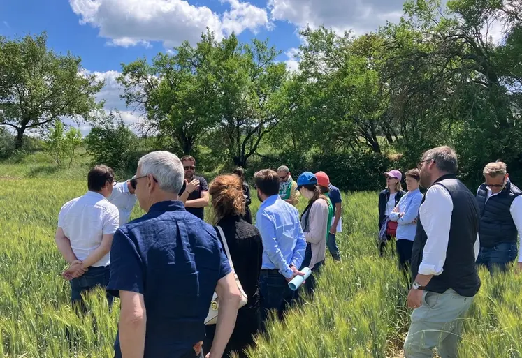 <em class="placeholder">Groupe d&#039;agriculteurs dans une parcelle de blé. </em>