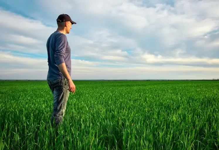 <em class="placeholder">Agriculteur seul dans son champ de blé au printemps</em>