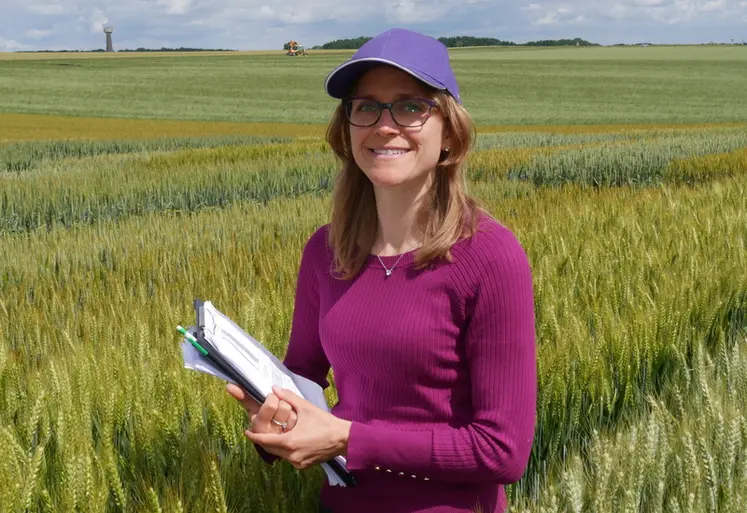<em class="placeholder">Séverine Baptiste, chef marché semences chez Axéréal"Pour la campagne qui débute, nous développerons LG Allegro sur une de nos six zones commerciales, à savoir ...</em>