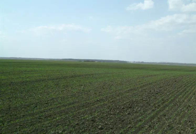 <em class="placeholder">Cultures dans les plaines d&#039;Ukraine.</em>