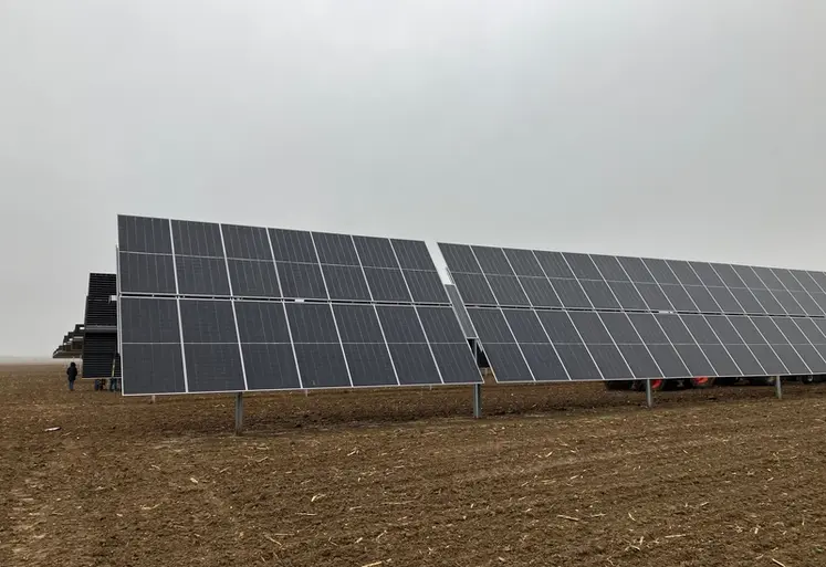 <em class="placeholder">Panneaux photovoltaïques sur parcelle agricole. </em>