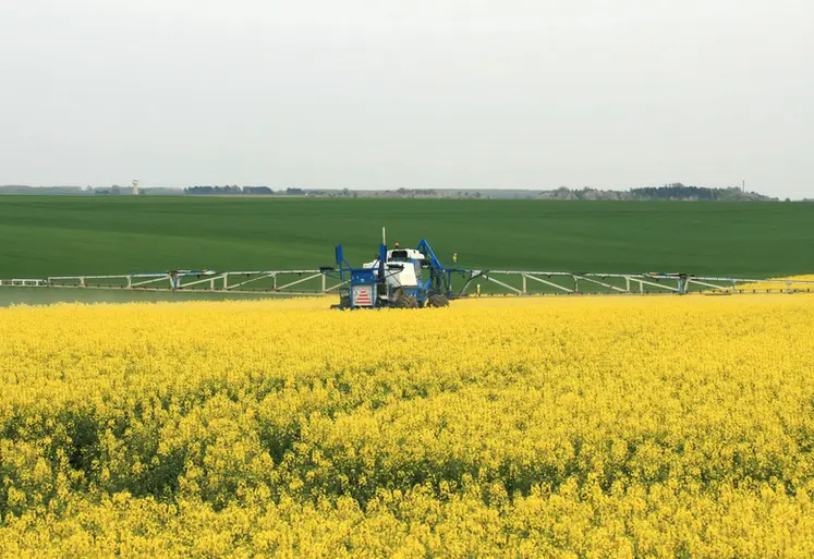 <em class="placeholder">Colza en pleine floraison. Traitement fongicide. </em>