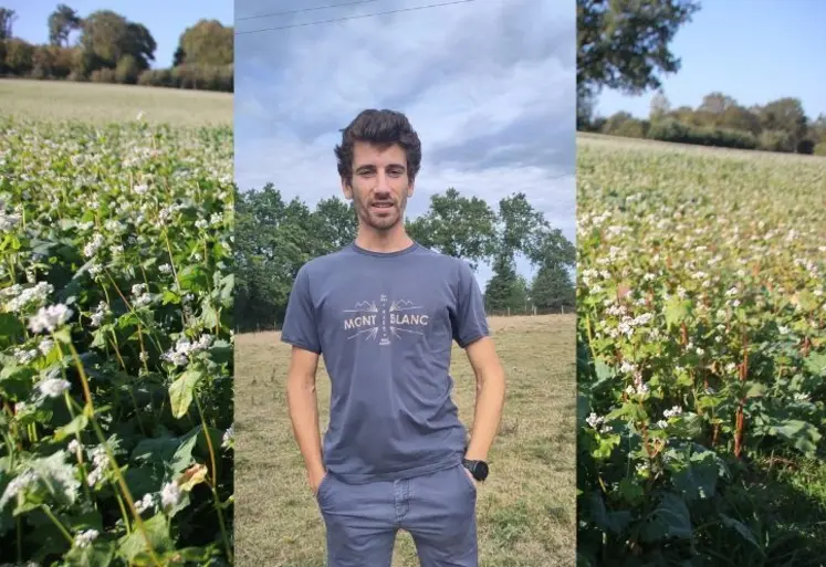 <em class="placeholder">Émilien Bohuon, agriculteur en Ille-en-Vilaine, produit du sarrasin, culture à bas niveau d'intrants</em>