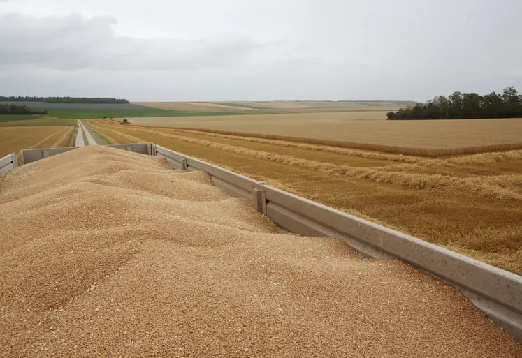 <em class="placeholder">Moisson des bles dans les plaines cerealieres de la Marne sous la menace de la pluie.</em>