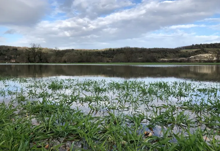 <em class="placeholder">Parcelle d'orge d'hiver inondée, à proximité de la rivière Eure</em>
