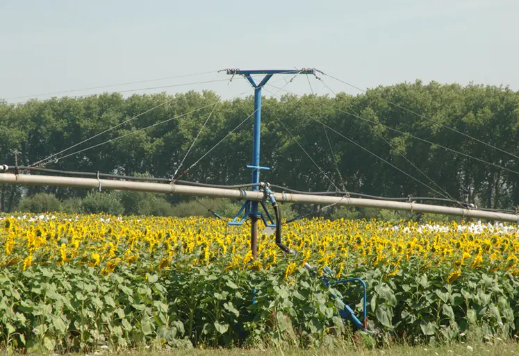 <em class="placeholder">Rampe d'irrigation dans une parcelle de tournesol dans le Lot-et-Garonne. </em>