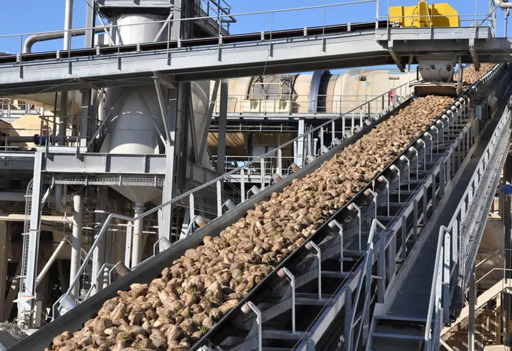 <em class="placeholder">DSC_0742 /  Site de Bazancourt - Cristal Union - Betterave.  sucrerie - Acheminement des betteraves.</em>