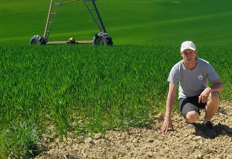<em class="placeholder">Benoît Catala, agriculteur à Veilhes (Tarn),"Mes sojas sont irrigués avec, par exemple, six tours d’eau en 2025, ce qui limite les dégâts des ravageurs."</em>