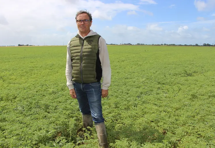 <em class="placeholder">Didier Plaire, agriculteur à L’Aiguillon-la-Presqu’île en Vendée, dans son champ de pois chiche Label rouge</em>