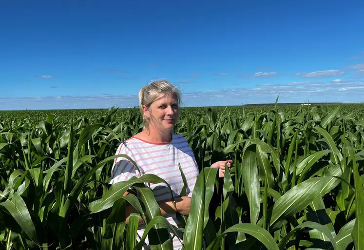 <em class="placeholder">Élodie Thirouin, agricultrice à Ychoux (40)"Un pH trop acide peut avoir un impact important sur nos cultures (légumes surtout) et donc, on ne peut pas se permettre de ...</em>