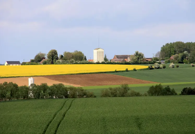 <em class="placeholder">Paysage rural typique de l'Artois et du Cambresis.  Cultures, haies et bosquets. Parcelles agricoles. Parcellaire. Assolement. PAC</em>