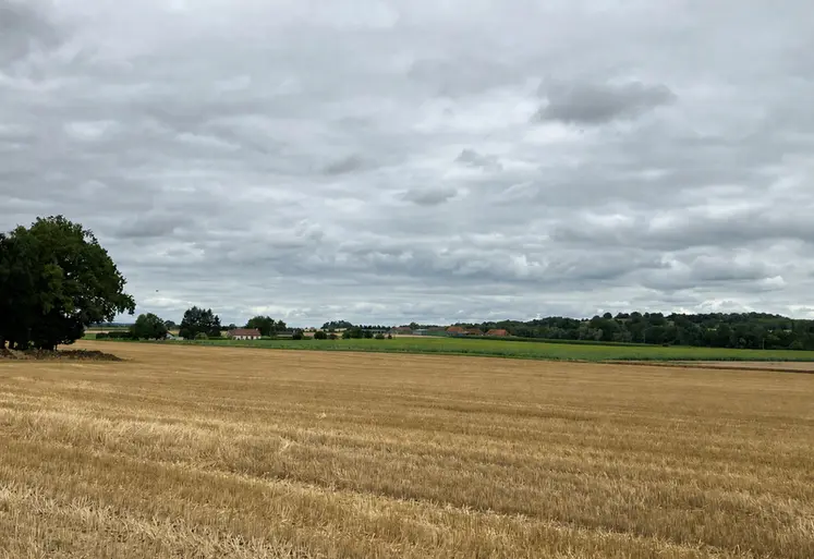 <em class="placeholder">Parcelle non déchaumée dans l'Allier.</em>