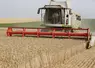 Moisson des blés dans les plaines de la Marne.