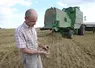 Récolte des céréales. Moisson. Contrôle de la qualité de l'orge d'hiver. Xavier Besnoit, agriculteur adhérent de la coopérative Cohésis. Observation des cultures. ...