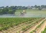 <em class="placeholder">Cultures / pommes de terre / traitement contre le mildiou / pulvÃ©risateur et rampe / application d&#039;un fongicide / produit phytosanitaire / utilisation de pesticides / au ...</em>