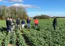 <em class="placeholder">Visite d&#039;un essais colza organisé par la coopérative Vivescia.</em>