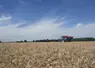 <em class="placeholder">Semis de couvert d&#039;interculture dans la céréale avec un épandeur à engrais</em>
