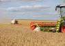 <em class="placeholder">Moisson des céréales. Moissonneuses-batteuses Claas dans une parcelle d&#039;orge dans la plaine céréalière de la Marne. chantier de récolte des orges avec des rendements ...</em>