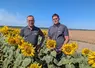 <em class="placeholder">Patrice Ayrault et son fils Antonin sur une parcelle de tournesol à Rives d&#039;Autise en Vendée</em>