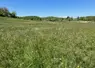 Parcelle en jachère.