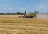 Moissonneuse batteuse en action dans une parcelle de blé tendre. Allier. 2024