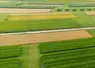 <em class="placeholder">site de recherche variétale du semencier Limagrain</em>