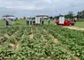 <em class="placeholder">Essai de désherbage en pomme de terre sur la plateforme Arvalis de Villers Saint Christophe dans l'Aisne, 30 juin 2026</em>