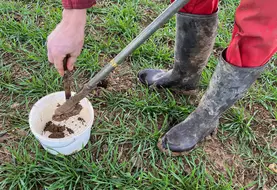Prélèvement de terre pour les reliquats azotés sortie d'hiver