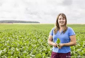 Marie-Claire D'Halluin, agricultrice à Guiseniers (Eure)  "Je prends le temps de faire des prélèvements de feuilles de betterave et d’y mesurer la proportion touchée ...