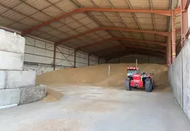 Stockage à plat sous hangar de blé à à la ferme avec un chargeur télescopique pour la manutention