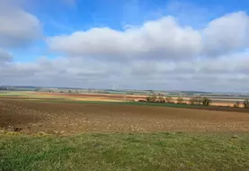 Parcelles en attente de semis