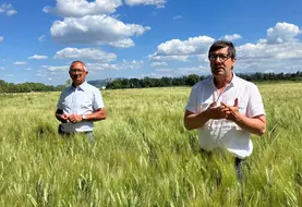 David Mouttet et Frédéric Gond dans une parcelle de blé dur  