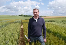 Jean-Armand Doublier, agriculteur à Bricy (Loiret),"Dans les nouvelles variétés qui pourraient remplacer Rebelde, je recherche un blé améliorant meilleur en rendement et ...