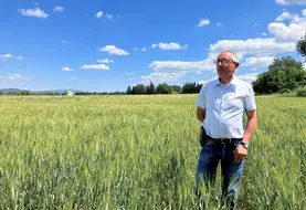 David Mouttet, producteur de blé dur dans les Bouches-du-Rhône.