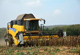 Parmi les cultures de printemps et d’été, le tournesol a l’avantage de libérer tôt le sol, en laissant des quantités limitées de résidus.