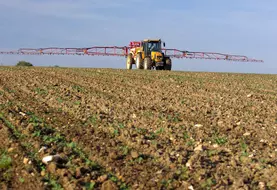 Cultures / traitement insecticide contre les altises sur champ de colza