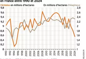 Graphique - Evolution des surfaces de céréales et d'oléagineux en France. 