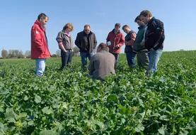 <em class="placeholder">Discussion technique entre un conseiller de chambre d&#039;agriculture et des agriculteurs dans un champ de colza. </em>