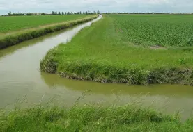 <em class="placeholder">Bordure de parcelle agricole en zone de marais vulnérable.</em>