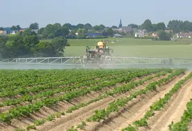 <em class="placeholder">Cultures / pommes de terre / traitement contre le mildiou / pulvÃ©risateur et rampe / application d&#039;un fongicide / produit phytosanitaire / utilisation de pesticides / au ...</em>