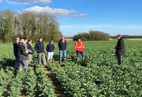 <em class="placeholder">Visite d&#039;un essais colza organisé par la coopérative Vivescia.</em>